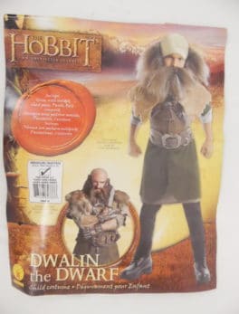 Déguisement enfant - The Hobbit - Dwalin