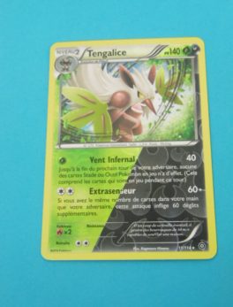 Carte Pokemon FR - Tengalice reverse 140PV - 11/114 - Offensive Vapeur