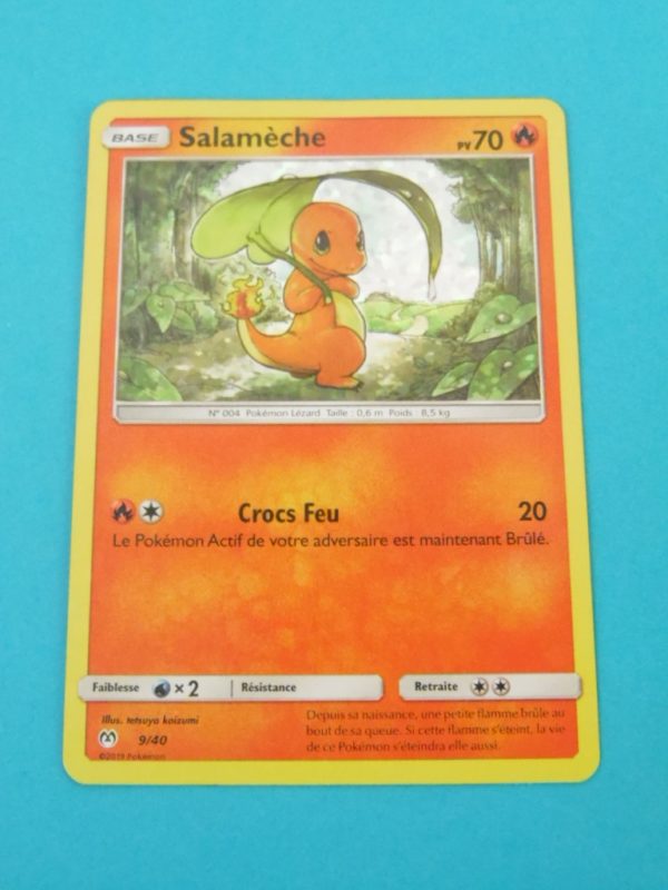 Carte Pokemon FR - Salamèche 70PV - 9/40 - promo McDonald 2019