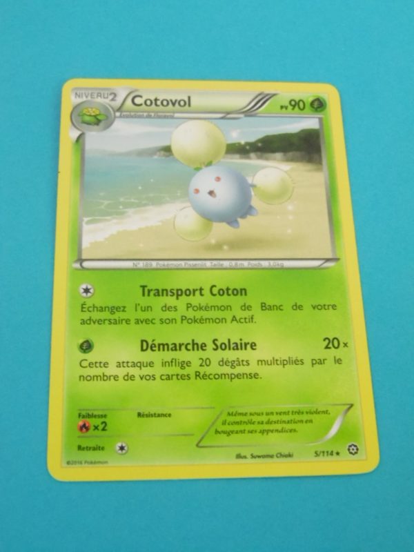 Carte Pokemon FR - Cotovol 90PV - 5/114 - XY Offensive Vapeur