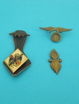 Insigne Militaire Légion Etrangère - 1er REI