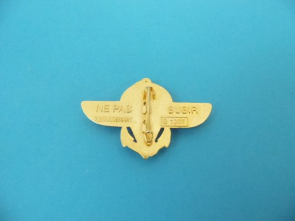 Insigne Militaire 2ème RPIMA