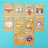 Cartes de 10 club NBA - FLEER - 95/96 - Version Européen