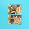Cartes de 2 joueurs NBA - FLEER - 95/96 - TOTAL D