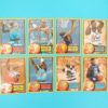 Cartes de 8 joueurs NBA - FLEER - 96/97 - NBA ALL-STAR RETRO