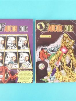 2 Comics Pocket - Faucon Noir N°21 et N°22 - Année 1981