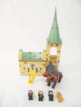 LEGO Harry Potter - N° 76387 - Rencontre avec Touffu