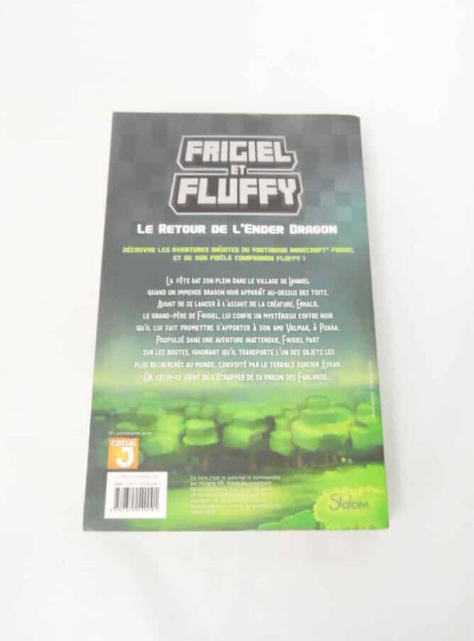 Livre Minecraft - Frigiel et Fluffy tome 1
